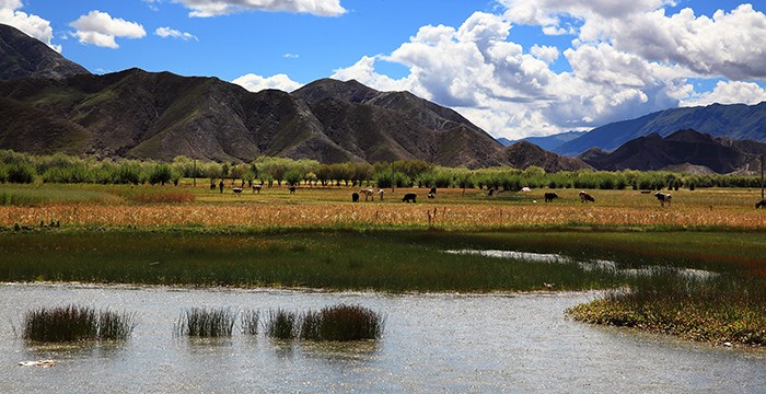 Landscape of Tibet